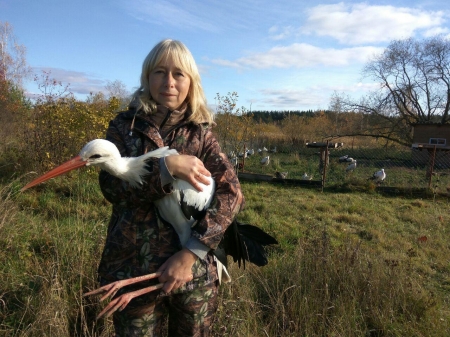 ������ ������� - � �������!