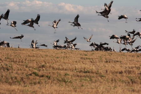 ���������� ��� � ���������� � ������ ����������� ���� 2020