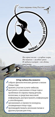 ����� ������ ������ � ����� 2010  ����