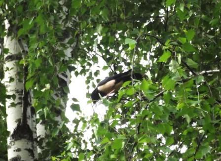 ������� ������� � ��������� �����������