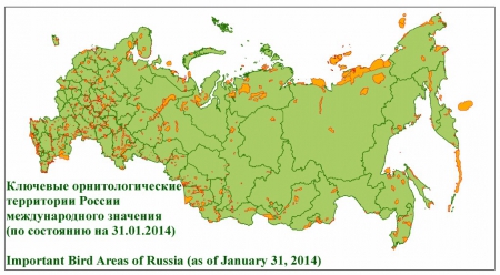 ���������������� ���� ������ � ���� �������������� ��������  �������� ��� ����������