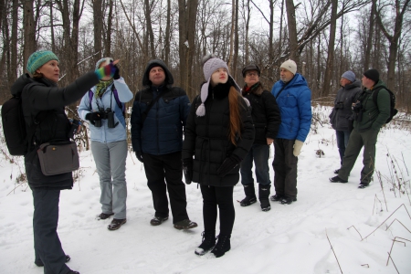 ���������������� ��������� � ��� � ����������� ����� 