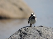 DSCN8770.jpg