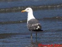 IMG_2555