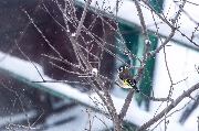 IMG_4206.jpg