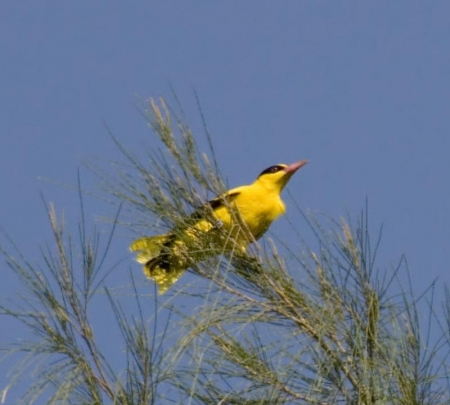 ����� � 2012: ���� �� ����.  17  ���