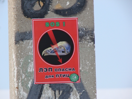 ���� ����  � ����������� �������