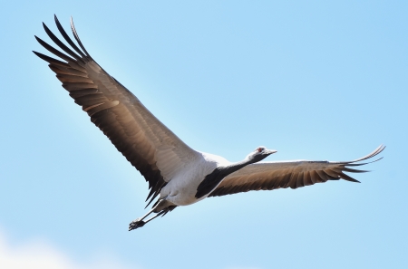 �����: ���� �� ���� (������, ������ ������ ���)