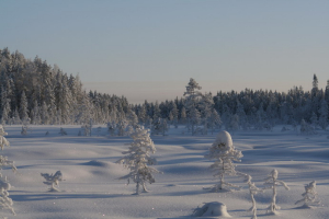 � ������ ������ ���� ������ � ������������ ����� � �Parus� 