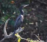 IMG_4000.JPG