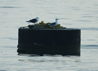 IMG_6142.JPG