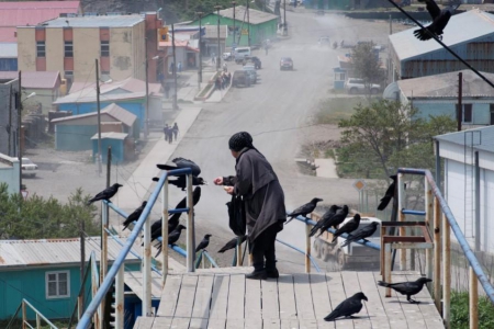 ����� ������������ �������