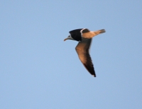 IMG_6944.JPG