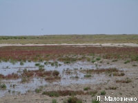 DSC07054.JPG