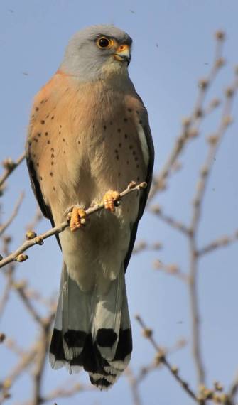 ������� ��������� ��������� �� �����!