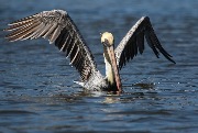 IMG_4198.JPG