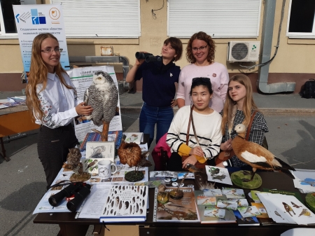 ���������� ������ �� ��������� ������������ �����������