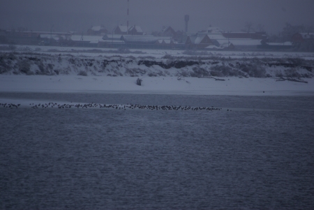 ���������� ���� ������������� � ���������� �������