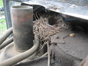 ����������-�����������