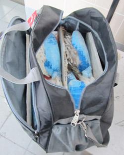 ������������� ���� ���������� � ���������� �����