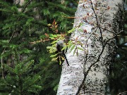 IMG_5671.JPG