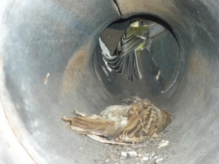 ��� �� ������� ������