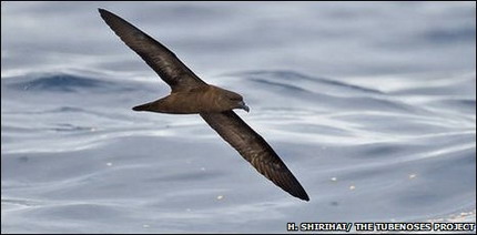 ����������� ����� �������� � �����