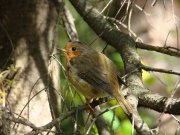 DSC08178.JPG