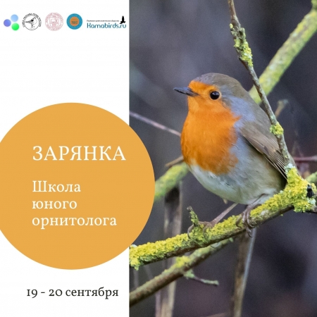 ����� ����� ���������� ��������