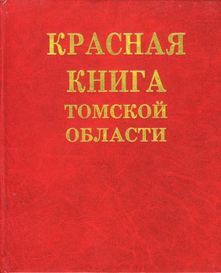 ������� ����� ������� �������