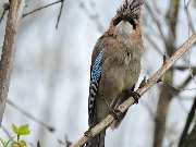 DSCN0689.JPG