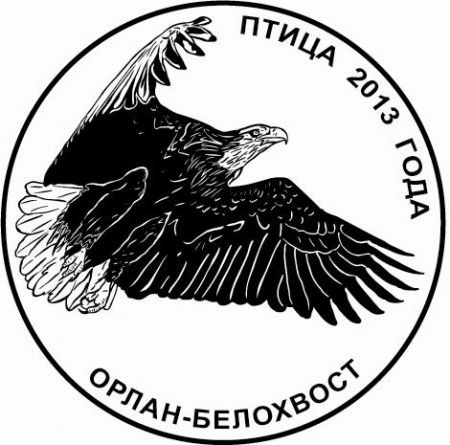 ���������� ���������� ������� ������� ������ 2013 ���� � �����-���������