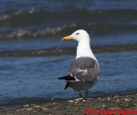 IMG_2552
