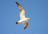 IMG_7760.JPG