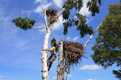 � ���������� ��������� ������ ����������������  �����