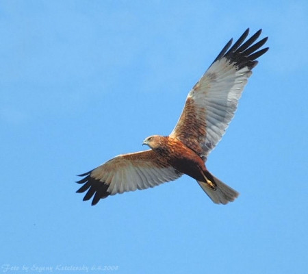 ����� � 2011: ���� �� ����. 20 ������