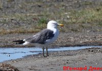 IMG_2566