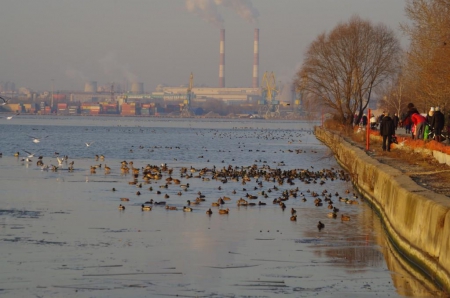 ��������� ����� ����������� ����� ������������� �� �. ������