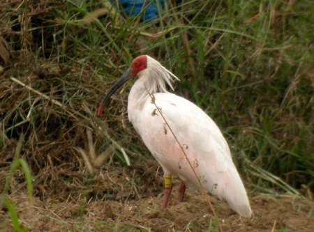 ������ ������� 10 ����������� ������ �����