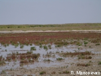 DSC07055.JPG