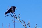 IMG_3714.jpg