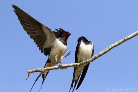 �����-2012, ���� �� ����. 18 ������