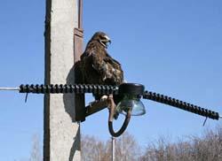 ����� �������������� ������������ � "���� ������" � 2011 �.