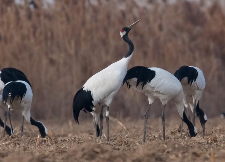 ����� � ������� ����