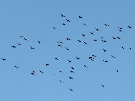 ����������������  ������� �������� ��  �������� ��������