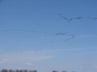 �������� ���������������� ������ � ���������� �����������