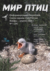 ��� ���� � 34