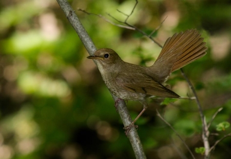 �����-2013. ����������� �������, ������ ��� 