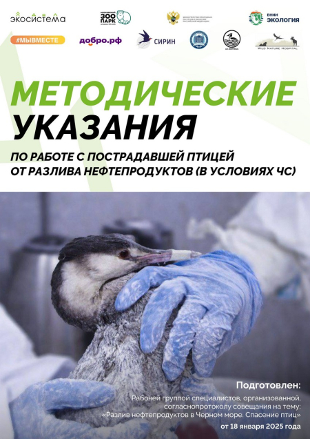 ������������ �������� �� ������ � ������������ ������ �� ������� �������������� (� �������� ��)