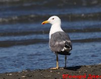 IMG_2550